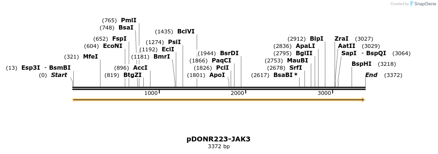 11258_map