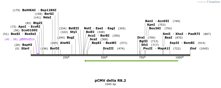 112581_map