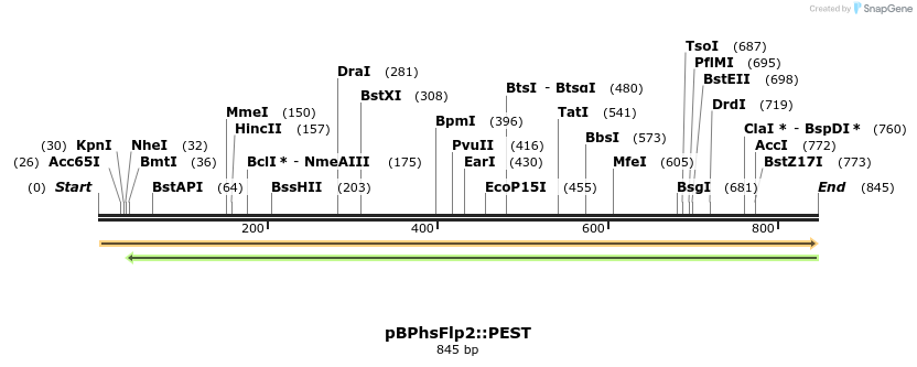 112584_map