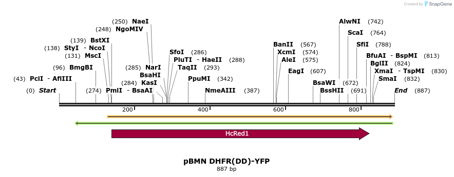 112587_map