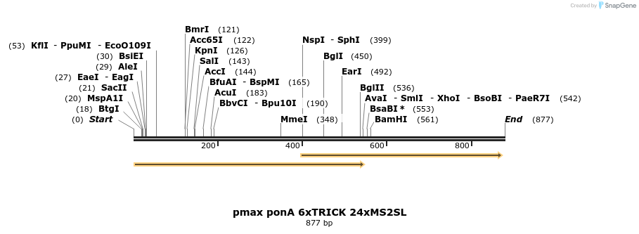 112589_map