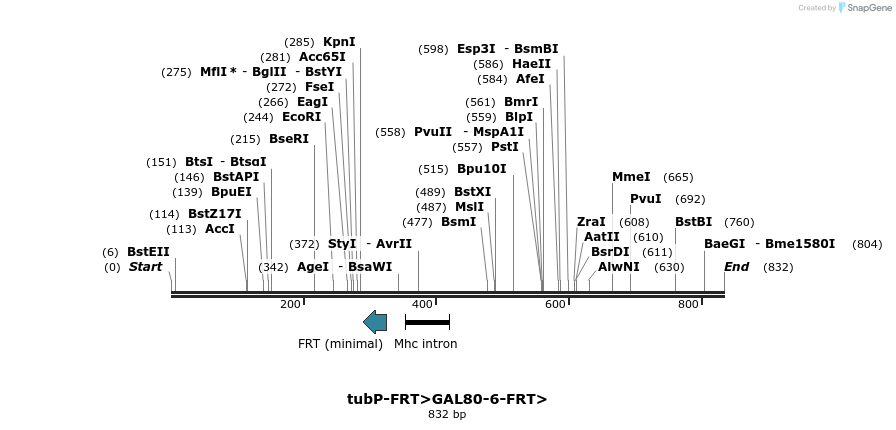 112590_map