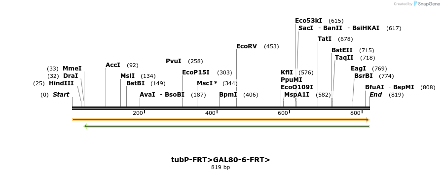 112591_map