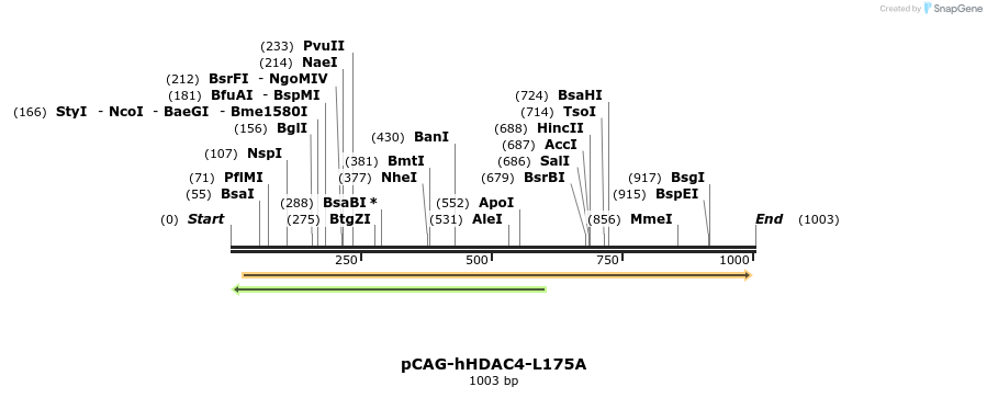112592_map