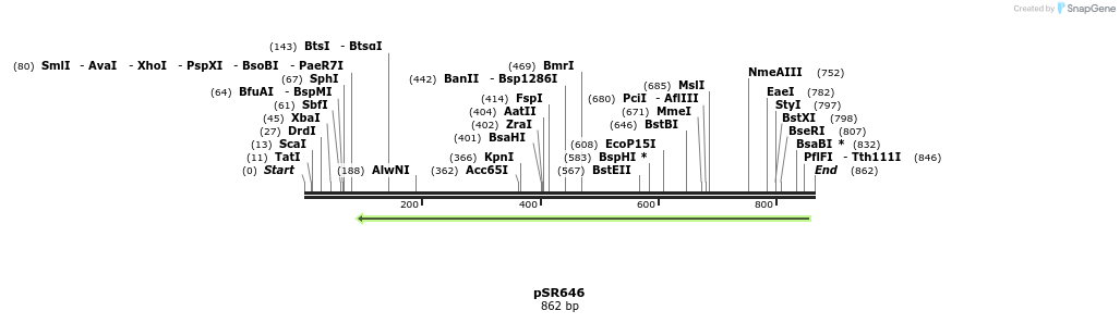 112597_map