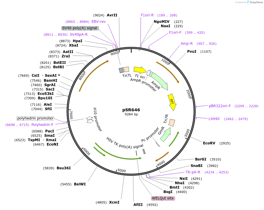 112598_map