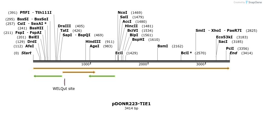 11260_map