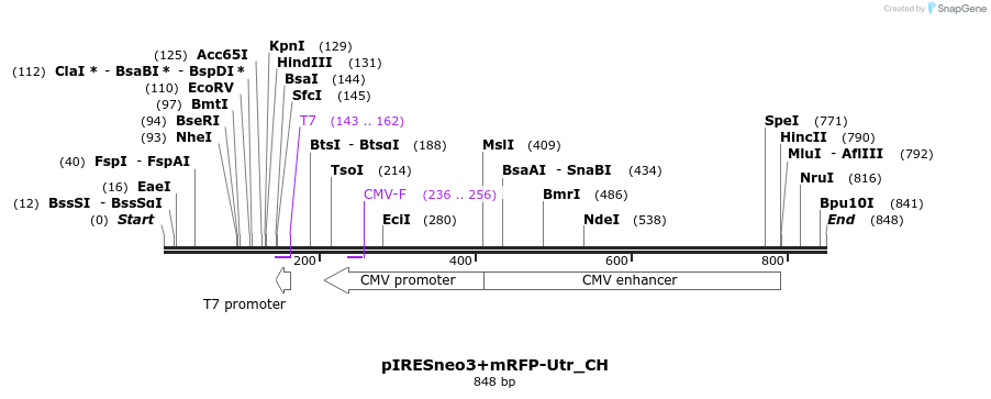 112605_map