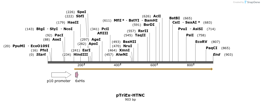 112631_map