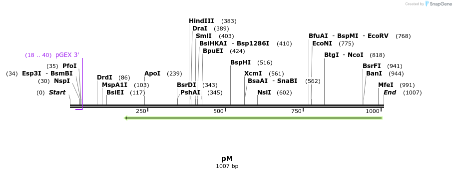 112645_map