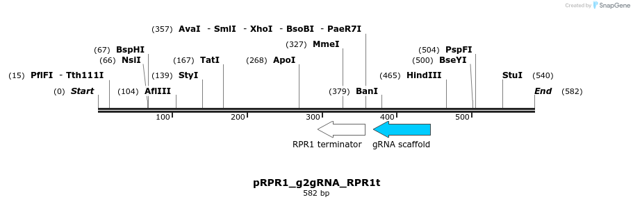 112663_map