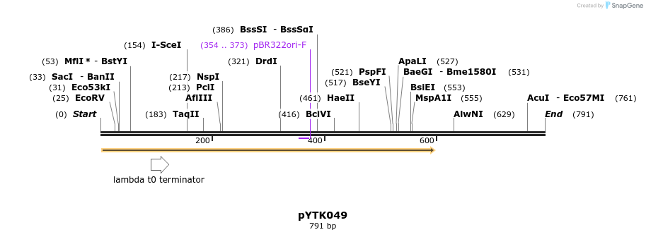 112699_map