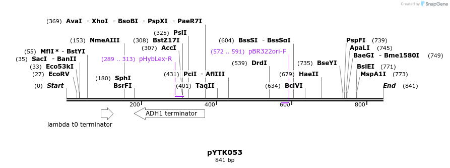 112706_map
