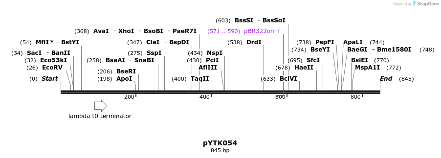 112708_map