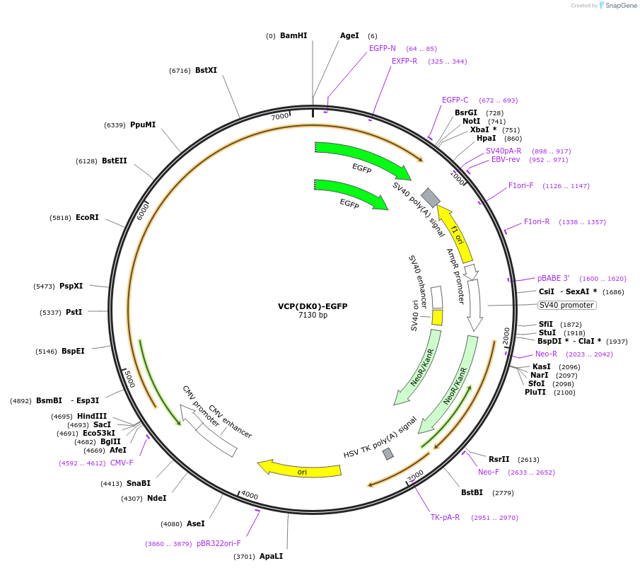 11273_map
