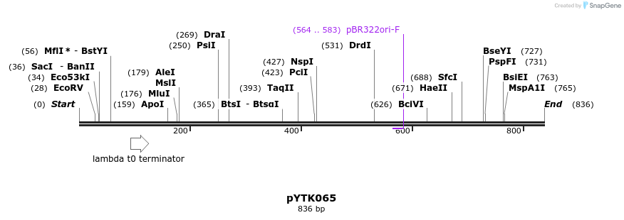 112736_map