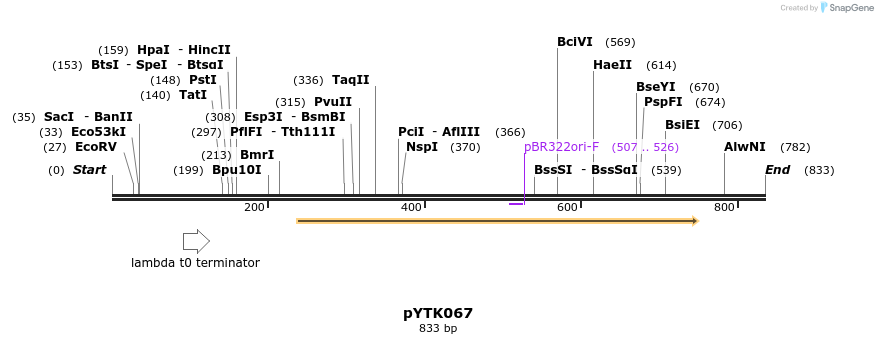112738_map