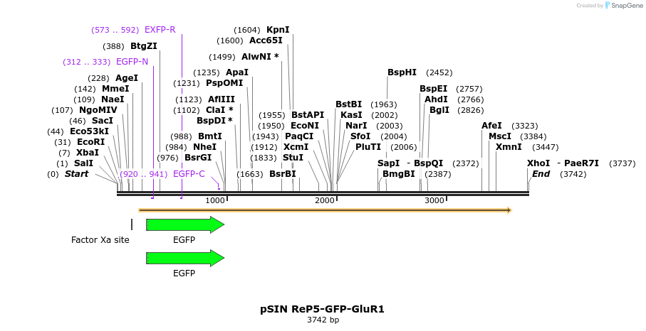 11276_map