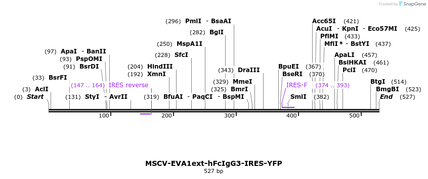 112789_map