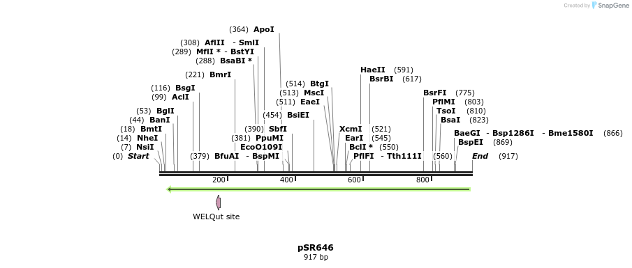 112799_map