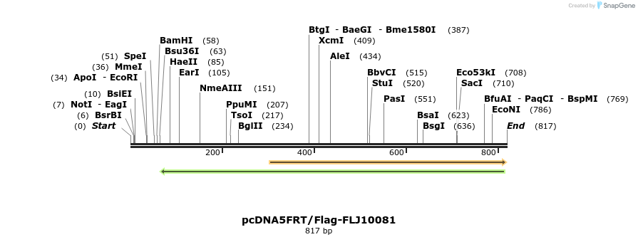 112826_map