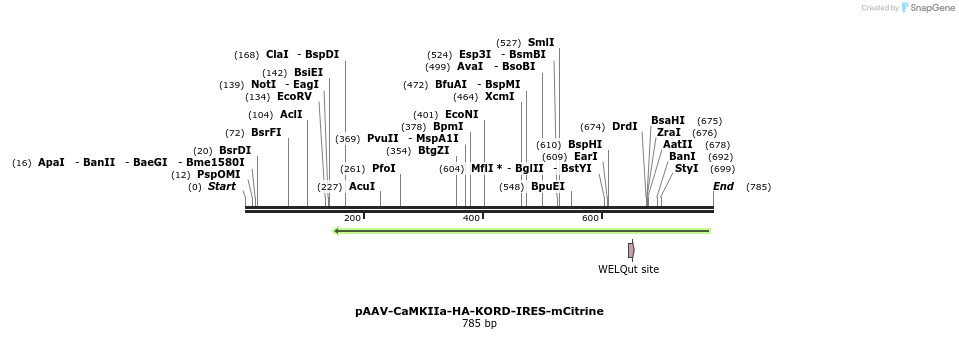 112831_map