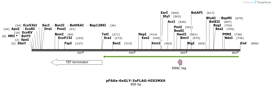 112863_map