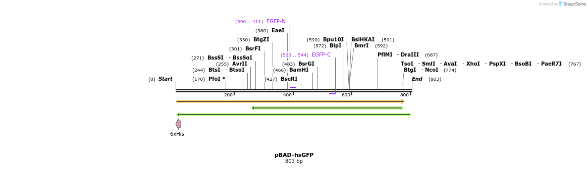 112864_map