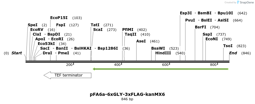 112866_map