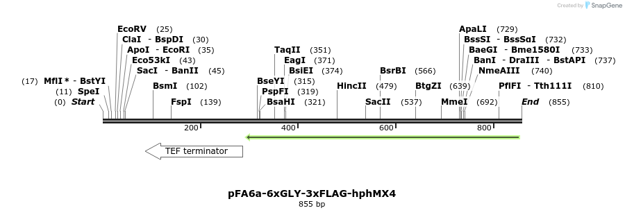 112869_map