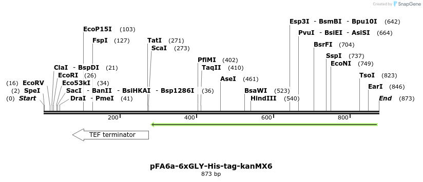 112872_map