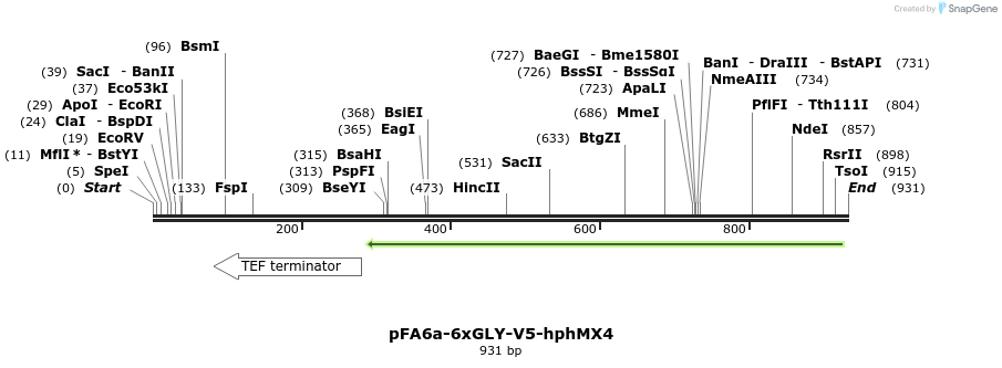 112874_map