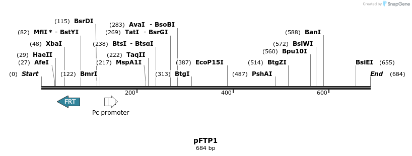 112891_map