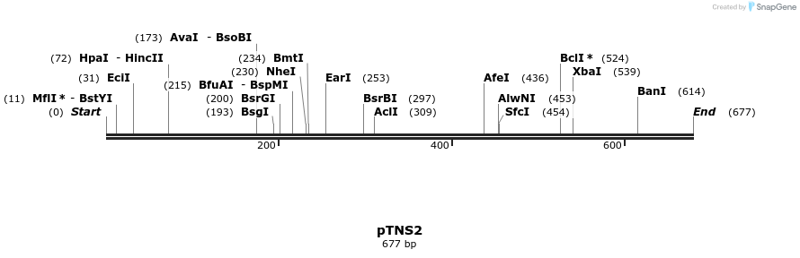 112901_map