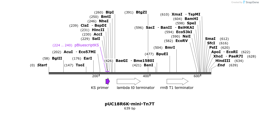 112903_map