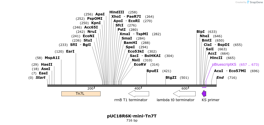 112904_map