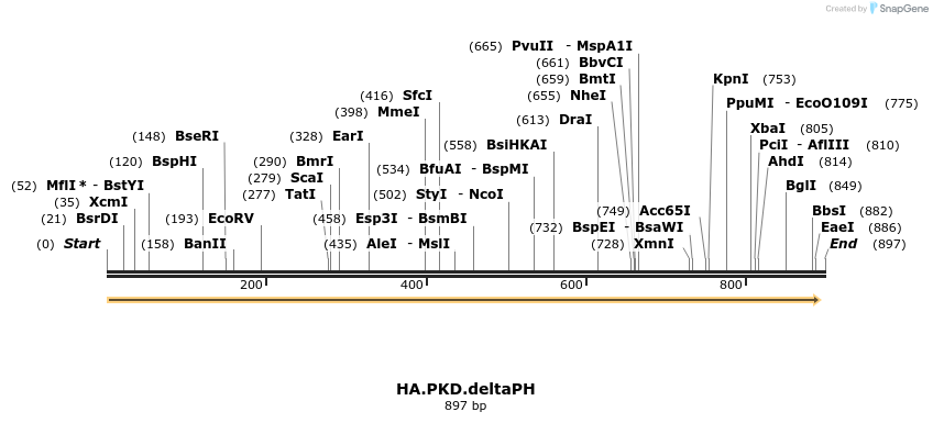 112908_map