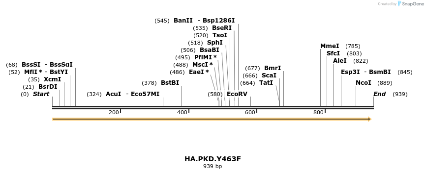 112909_map