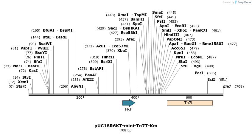 112910_map