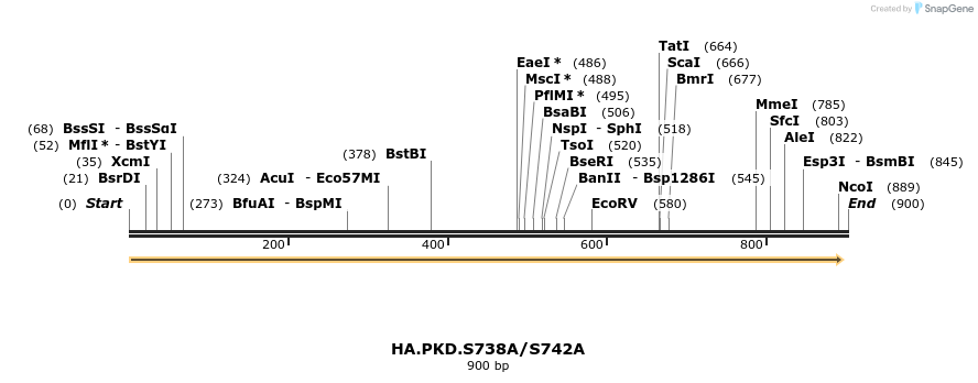 112911_map