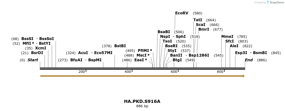 112913_map