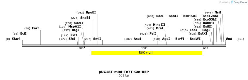 112937_map