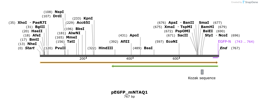 112938_map