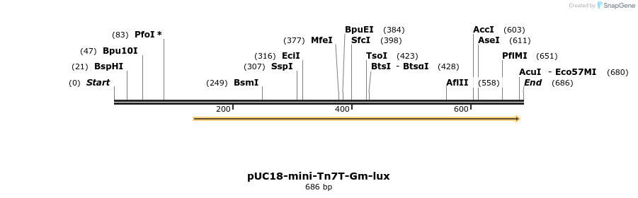 112941_map