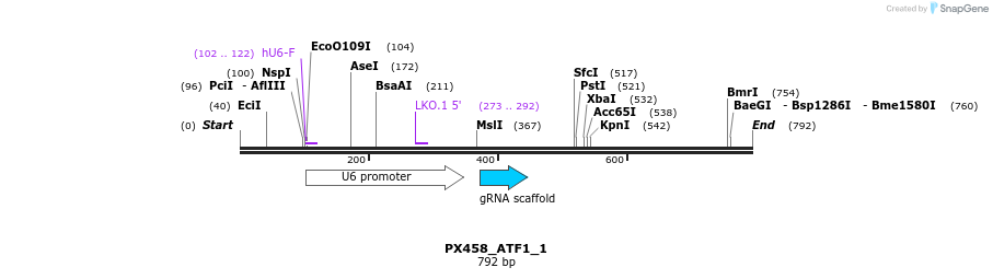 112943_map