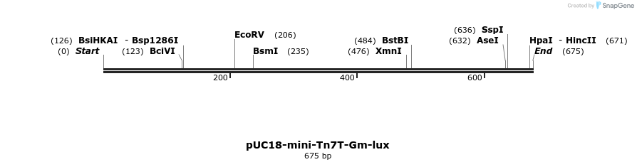 112944_map