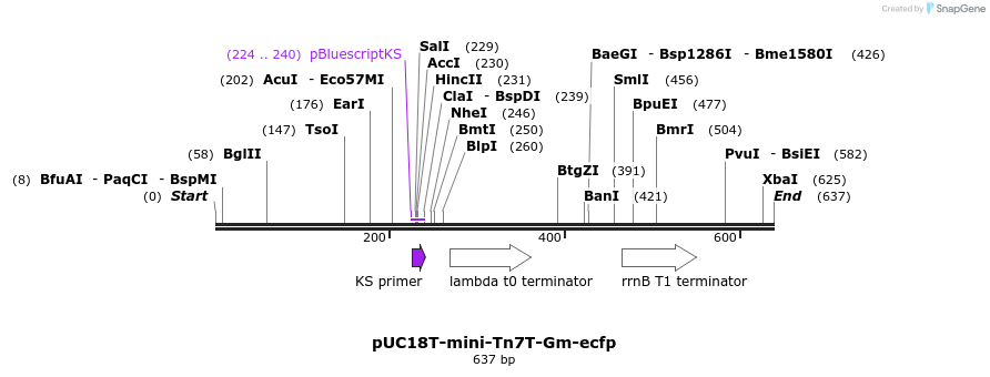 112961_map
