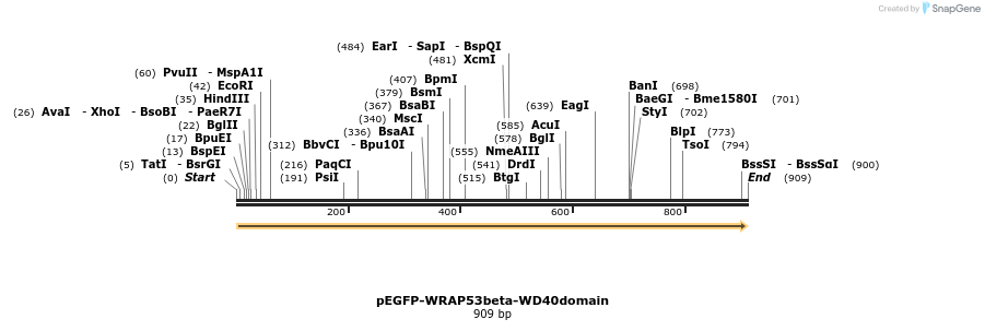 112964_map
