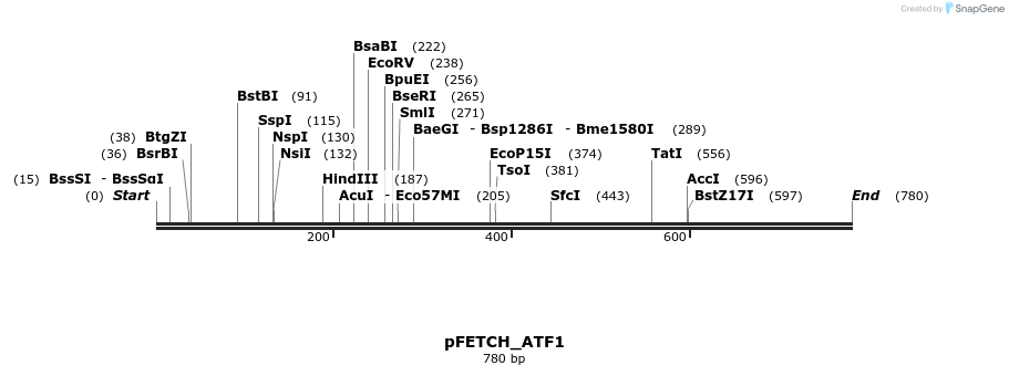 112966_map