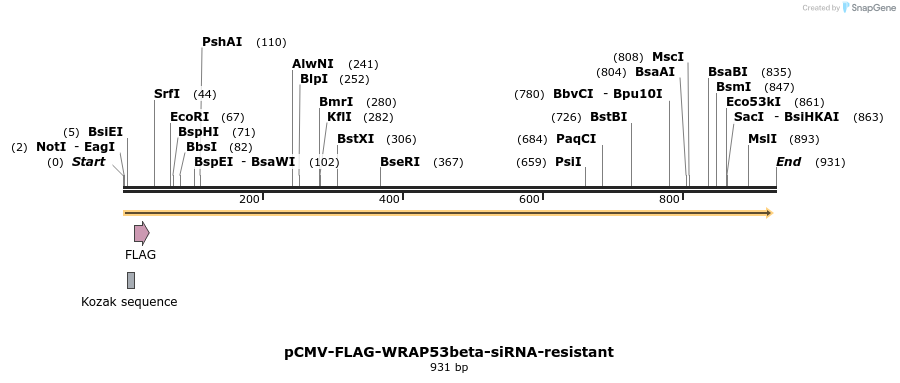 112967_map